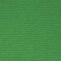 Кардсток текстурированный Лесной папоротник, 30,5*30,5 см, 216 гр/м